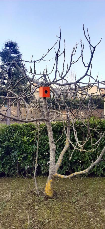 B&B Dimora Dei Folletti Monzuno Bagian luar foto